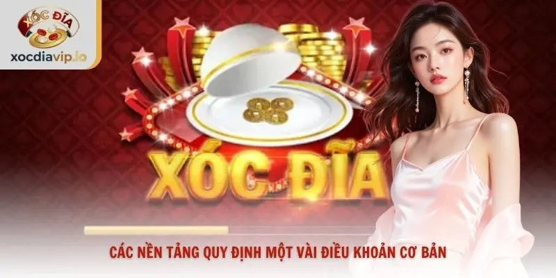 Các nền tảng quy định một vài điều khoản cơ bản