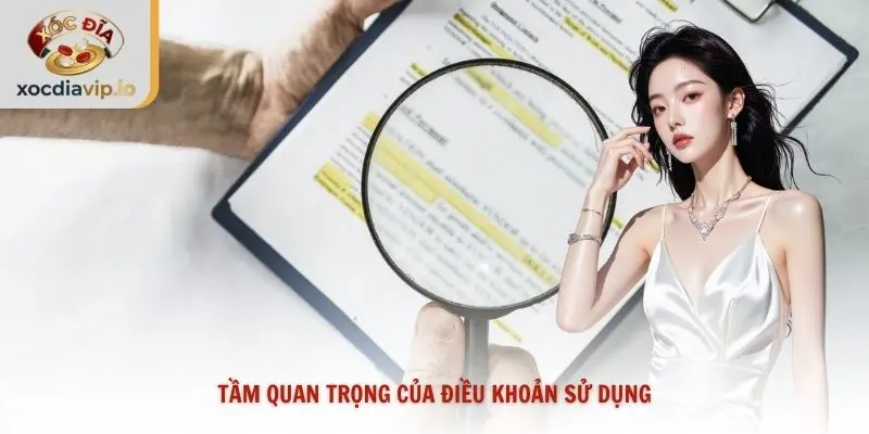 Tầm quan trọng của điều khoản sử dụng