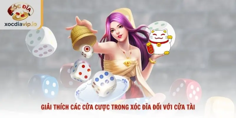 Giải thích các cửa cược trong xóc đĩa đối với cửa Tài