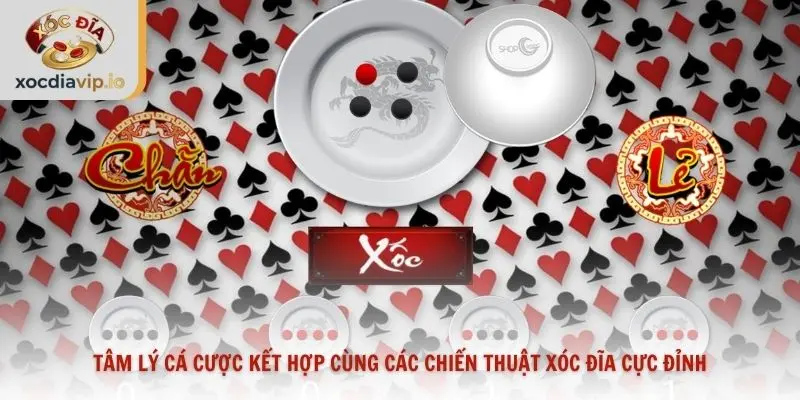 Tâm lý cá cược kết hợp cùng các chiến thuật xóc đĩa cực đỉnh