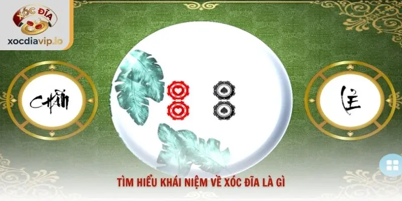 Tìm hiểu khái niệm về xóc đĩa là gì