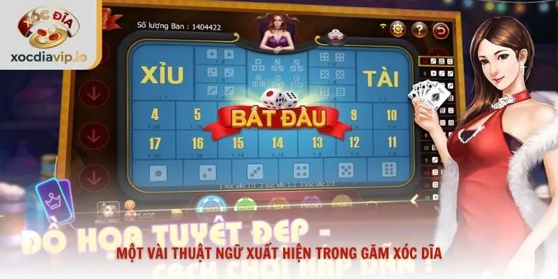 Một vài thuật ngữ xuất hiện trong găm xóc dĩa
